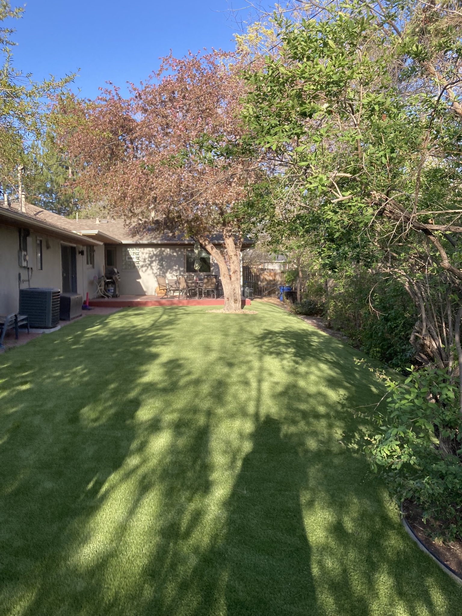 Where Can I Buy Synthetic Grass