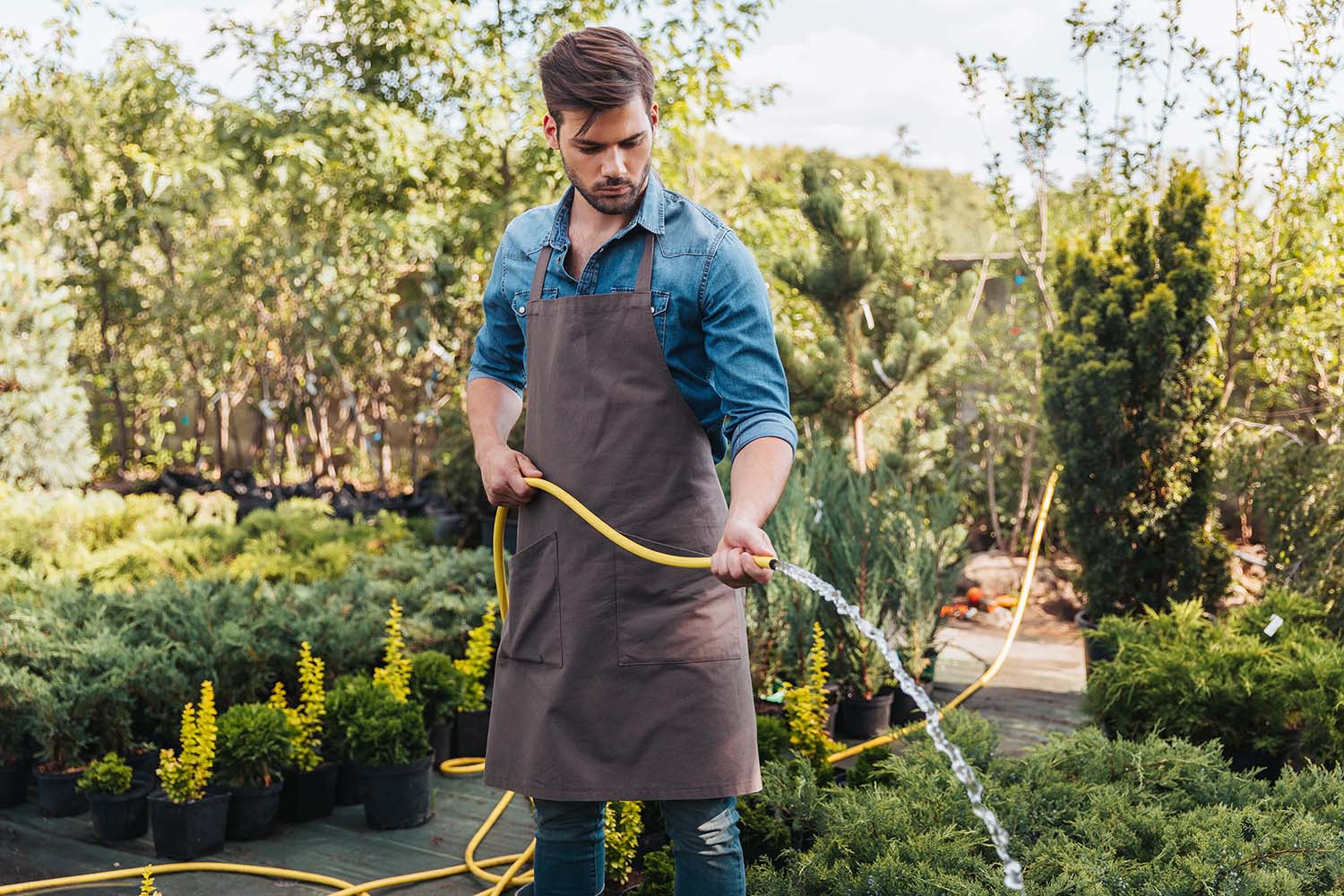 concentrated-young-gardener-in-apron-watering-plan-2WEAJD8.jpg