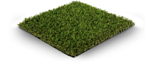 Bayhill Blend