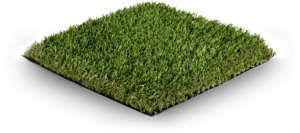 Bethpage Blend