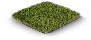 Sawgrass