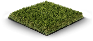 Pebble Forest